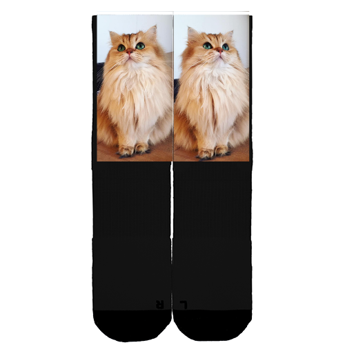 Customize Your Own