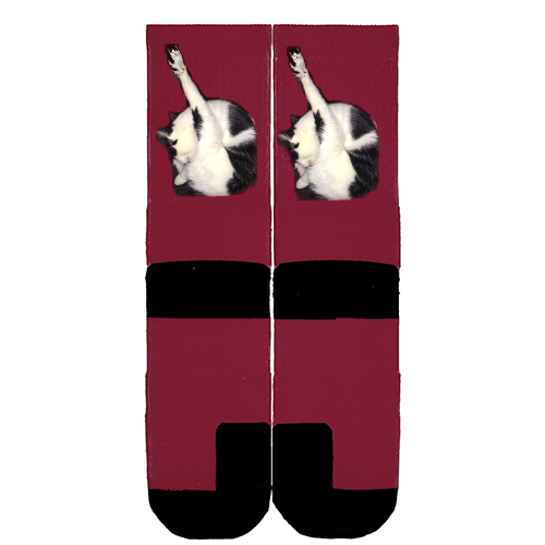 Customize Your Own