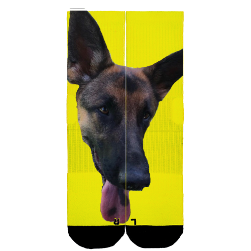 Customize Your Own