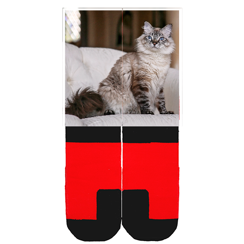 Customize Your Own