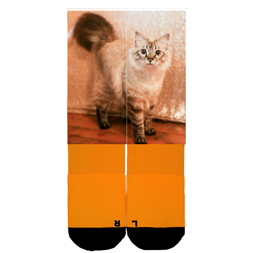 Customize Your Own