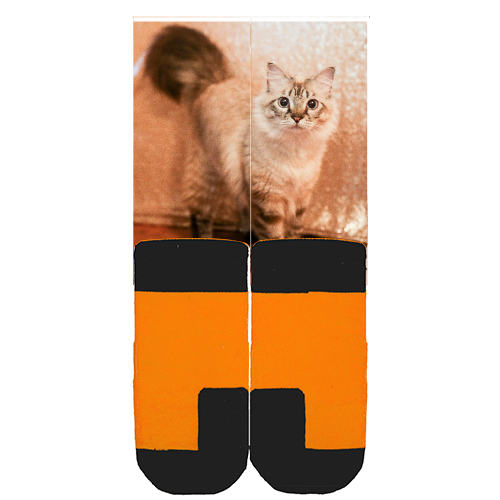Customize Your Own