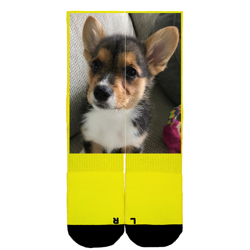 Customize Your Own