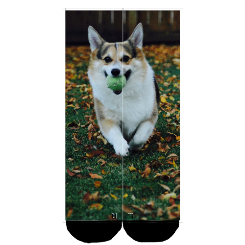 Customize Your Own