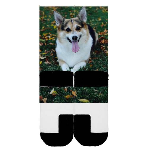 Customize Your Own