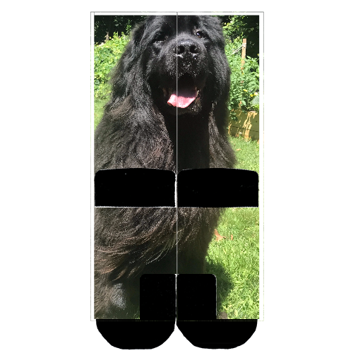 Customize Your Own