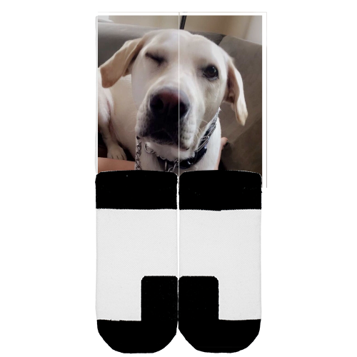 Customize Your Own