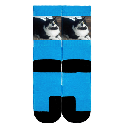 Customize Your Own
