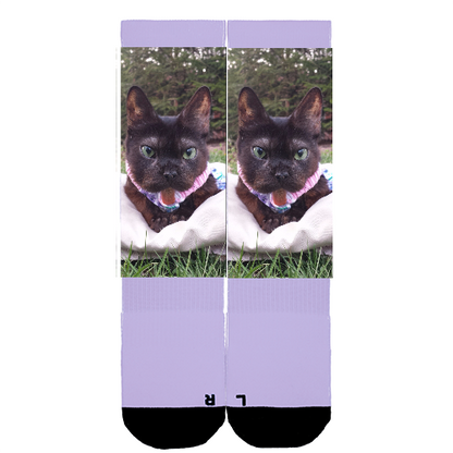 Customize Your Own