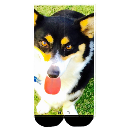 Customize Your Own