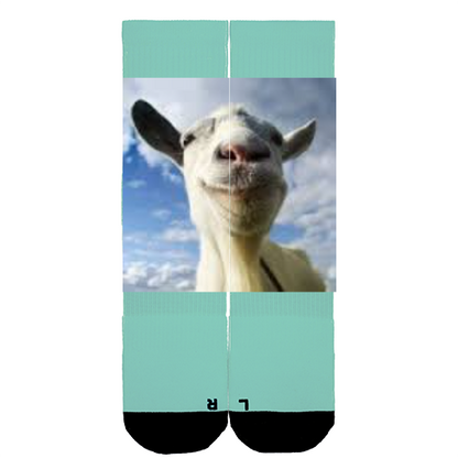 Customize Your Own