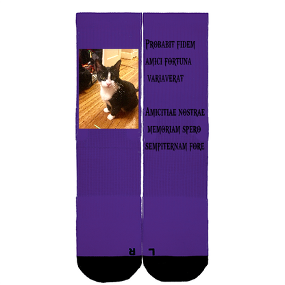 Customize Your Own