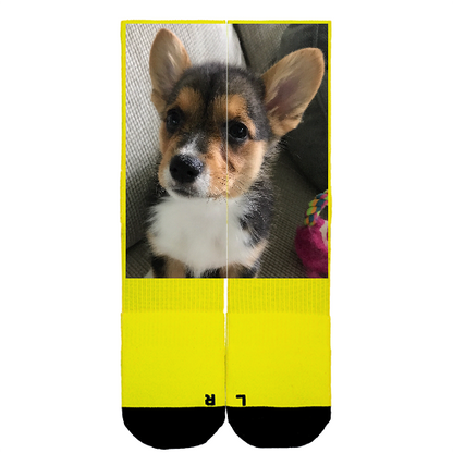 Customize Your Own