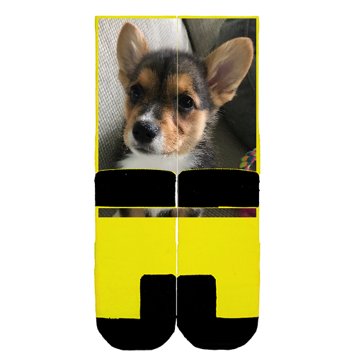 Customize Your Own
