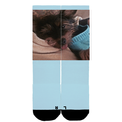 Customize Your Own