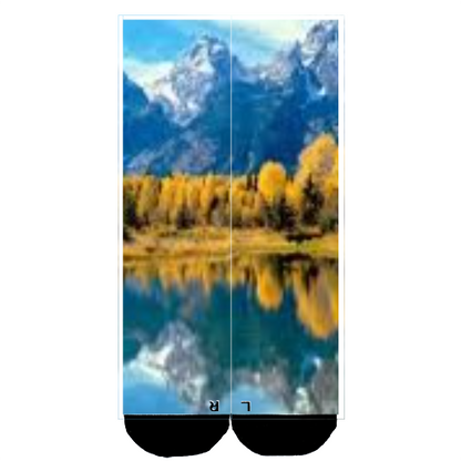 Customize Your Own